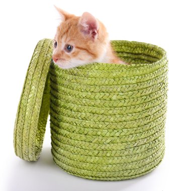 küçük kedi üzerinde beyaz izole hasır sepet