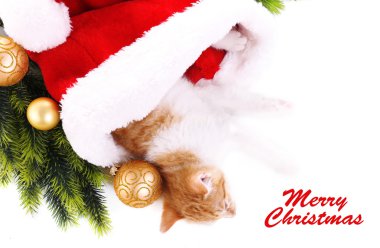 küçük kedi üzerinde beyaz izole Noel süslemeleri ile