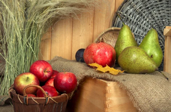 바구니에 과일 나무 배경에 자루에 상자에 사과 — 스톡 사진