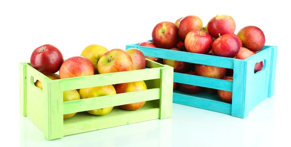 Sappige appels in houten kisten geïsoleerd op wit — Stockfoto