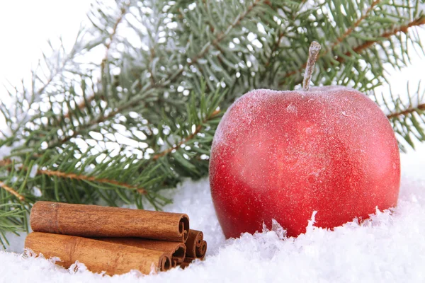 Manzana roja con ramas de abeto y canela en nieve de cerca — Foto de Stock