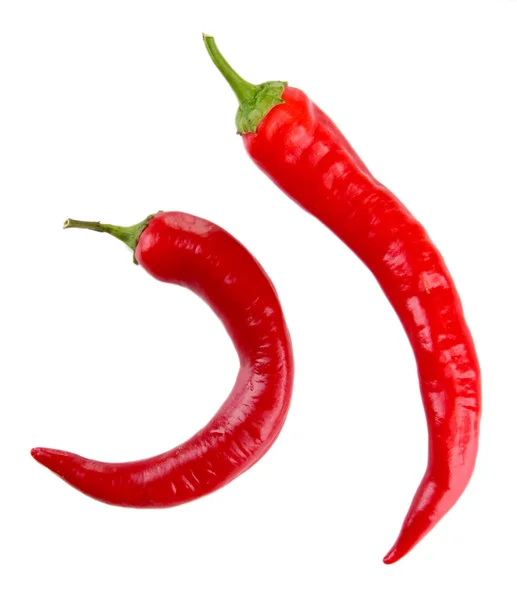 Duas pimentas vermelhas quentes isoladas em branco — Fotografia de Stock
