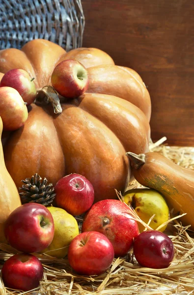 Herbst Komposition von Früchten und Kürbissen auf Stroh auf Holzgrund — Stockfoto