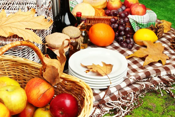 Picnic al aire libre de cerca — Foto de Stock