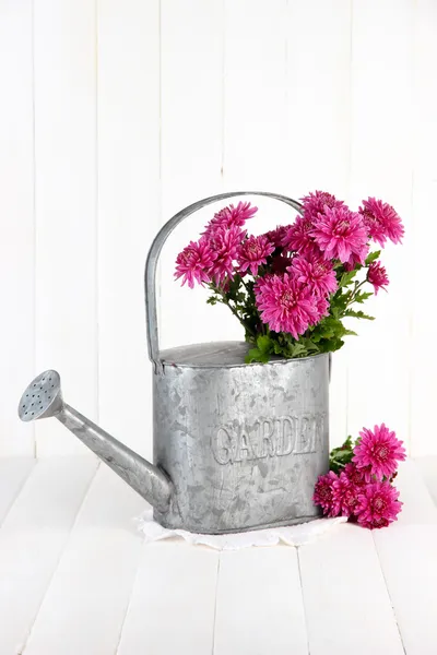 水まき缶白い木製の背景の上でピンクの菊の花束 — ストック写真