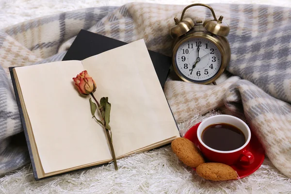 Composición con cuadros calientes, libro, taza de bebida caliente sobre fondo de alfombra de color —  Fotos de Stock