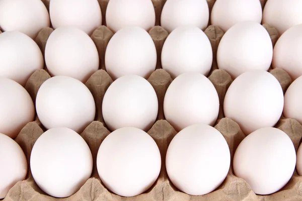 Яйца в лотке для бумаг крупным планом — стоковое фото