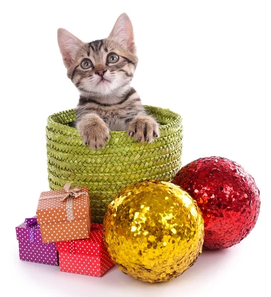 Pequeño gatito con adornos navideños aislados en blanco — Foto de Stock