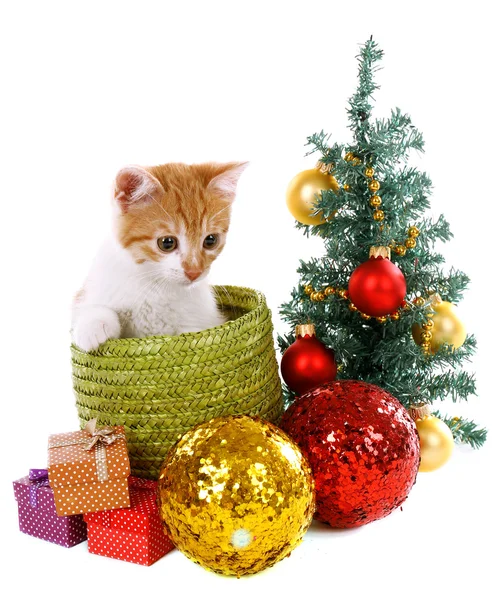 Pequeño gatito con adornos navideños aislados en blanco — Foto de Stock