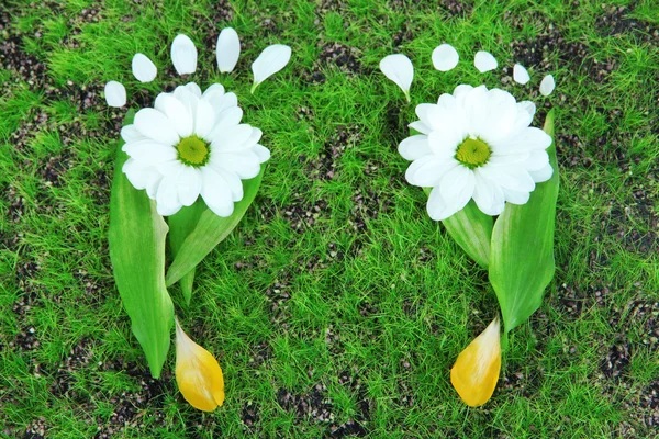 Footprints of leaves and flowers on grass close-up — Stock Photo, Image