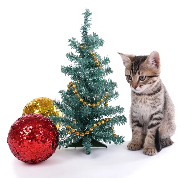 Kleines Kätzchen mit Weihnachtsdekoration isoliert auf weiß Stockbild