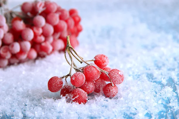 琼花与冰晶体，蓝色背景上的红色浆果 — 图库照片