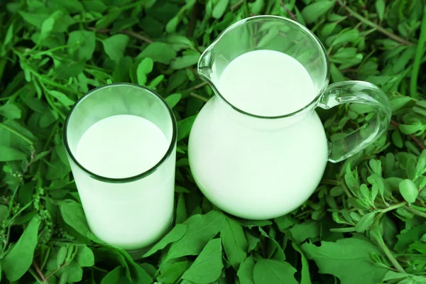 Pitcher et verre de lait sur herbe — Photo