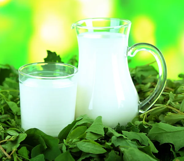 Džbán a sklenice mléka na trávě na pozadí přírody — Stock fotografie