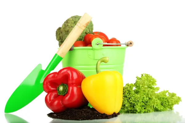 Légumes avec moulu isolé sur blanc — Photo