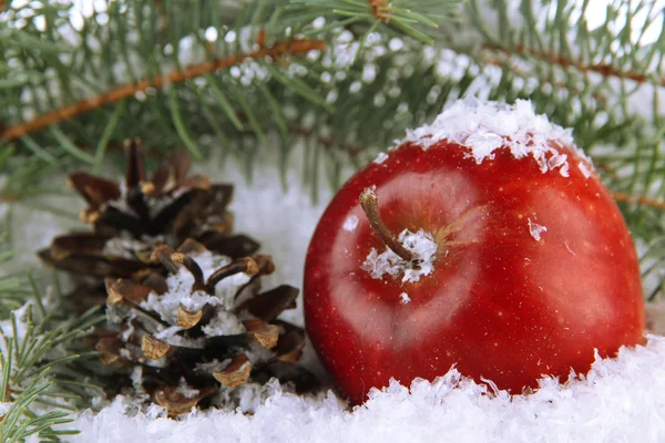 Manzana roja con ramas de abeto y bultos en la nieve de cerca — Foto de Stock