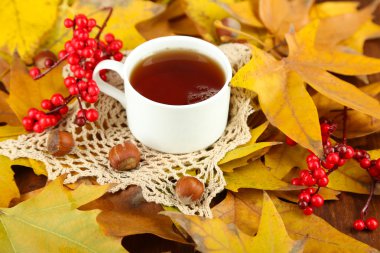 Sarı yaprak zemin üzerine sıcak içecek bir fincan