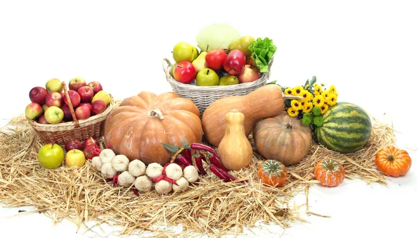 Samenstelling met groenten en fruit geïsoleerd op wit — Stockfoto