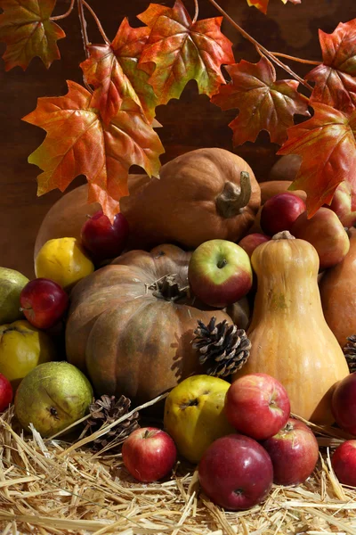 Herbst Komposition von Früchten und Kürbissen auf Stroh auf Holzgrund — Stockfoto