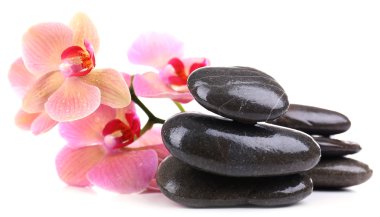 güzel çiçek açan orkide su damlaları ve üzerinde beyaz izole spa taşlar ile kompozisyon