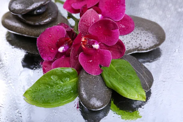 Composición con hermosa orquídea floreciente con gotas de agua y piedras de spa, sobre fondo de color claro — Foto de Stock