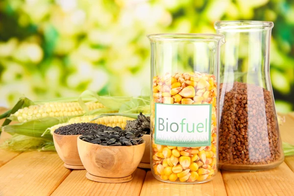 Conceptual photo of bio fuel. On bright background — Stock Photo, Image