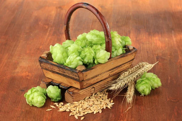 Fresh green hops in basket and barley, on wooden background — Stock Photo, Image