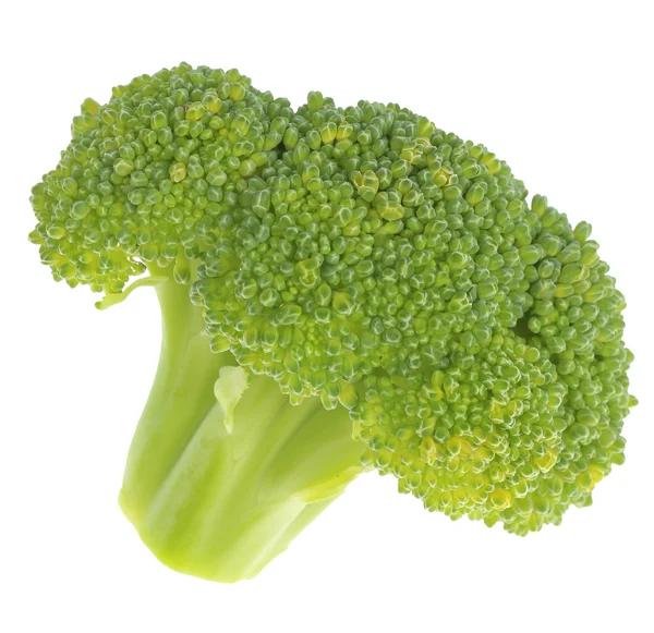 Broccoli isolati su bianco — Foto Stock