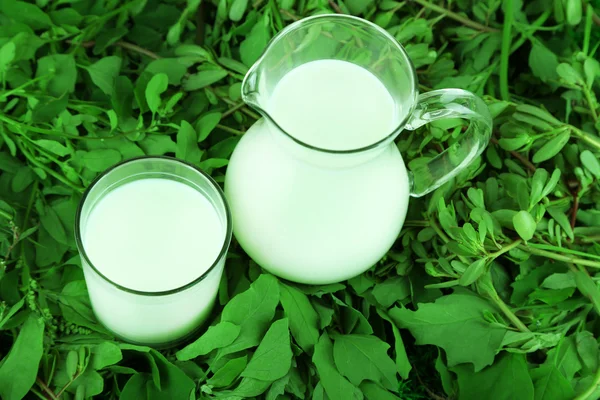 Pitcher and glass of milk on grass — Stock Photo, Image