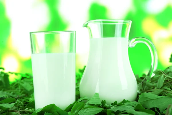 Džbán a sklenice mléka na trávě na pozadí přírody — Stock fotografie