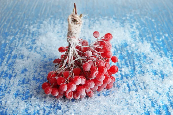 Rote Beeren von Viburnum mit Eiskristallen, auf blauem Hintergrund — Stockfoto