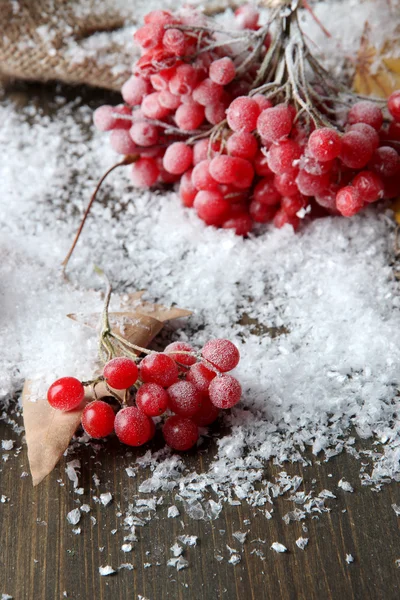 Red berries of viburnum and snow on sackcloth napkin, on wooden background — Stock Photo, Image