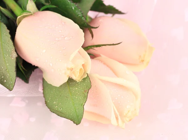 Krásná růže na růžovou látkou, zblízka — Stockfoto