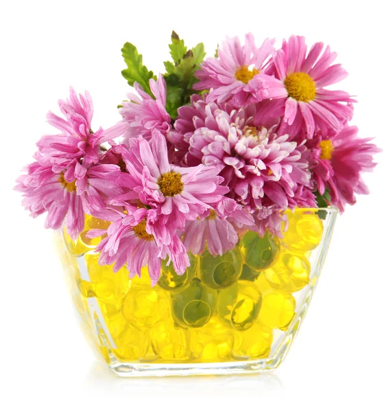 Красивые цветы в вазе с гидрогелем изолированы на белом — стоковое фото