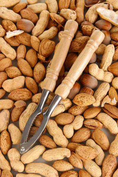 Nötknäppare med nötter närbild bakgrund — Stockfoto
