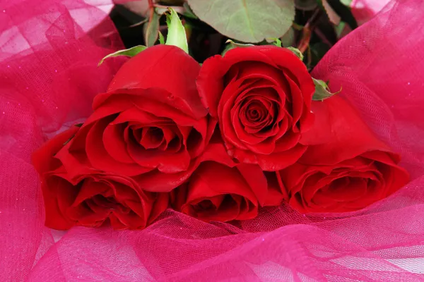 Красивые красные розы на розовой ткани крупным планом — стоковое фото