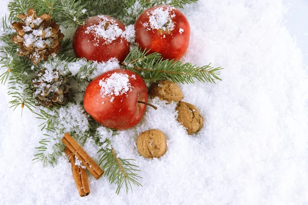 Maçãs vermelhas com ramos de abeto em neve perto — Fotografia de Stock