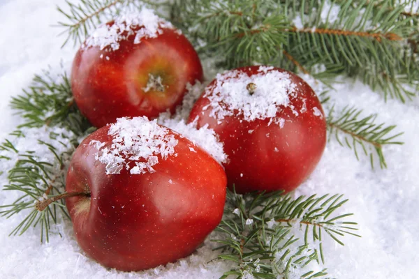 Maçãs vermelhas com ramos de abeto em neve perto — Fotografia de Stock