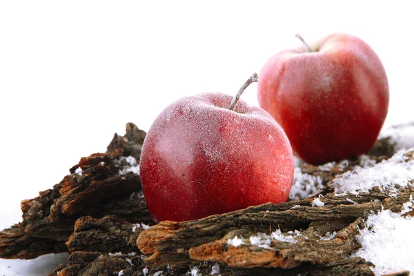 Manzanas rojas en corteza en nieve de cerca — Foto de Stock