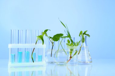 bitkilerde renk arka plan üzerinde test tüpleri