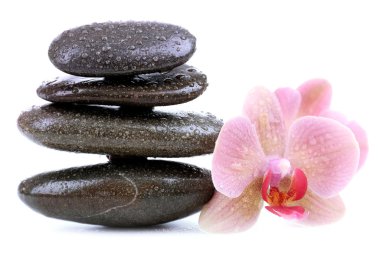 güzel çiçek açan orkide su damlaları ve üzerinde beyaz izole spa taşlar ile kompozisyon