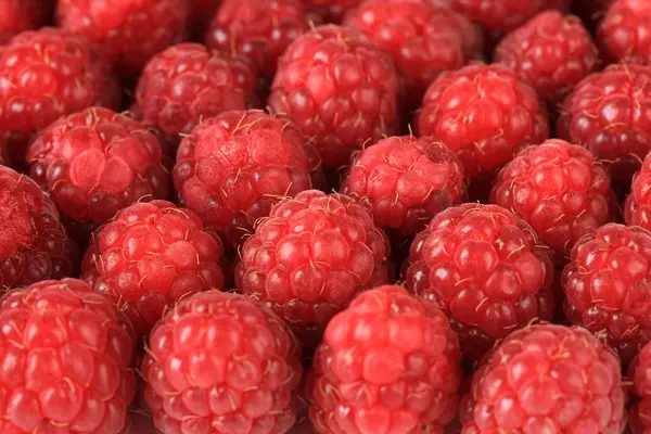 Reife süße Himbeeren, Nahaufnahme — Stockfoto