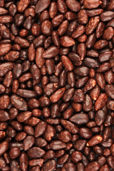 Sunflower grains in chocolate, close up — Stock Photo, Image