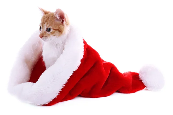 Little kitten in Christmas hat isolated on white — Stock Photo, Image