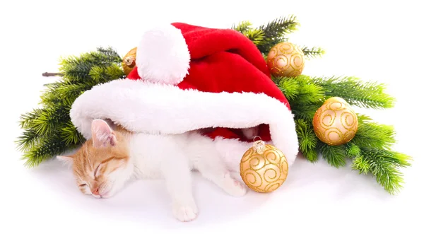 Pequeño gatito con adornos navideños aislados en blanco — Foto de Stock