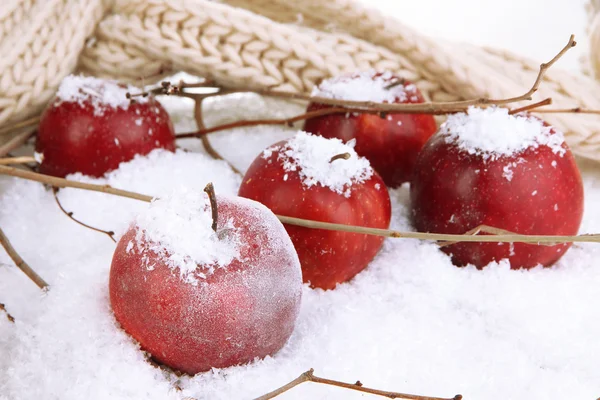 Red apples in snow close up — Stock Photo, Image