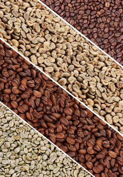 Coffee beans collage — Stock Photo, Image