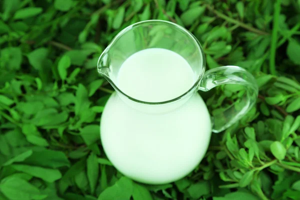 Krug Milch auf Gras — Stockfoto