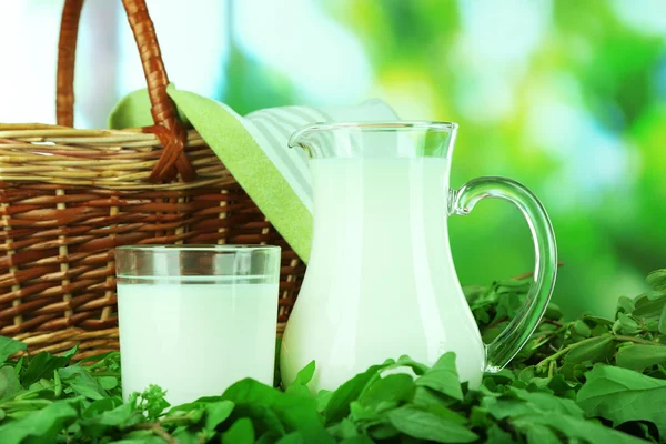 Pitcher and glass of milk on grass on nature background — Stock Photo, Image