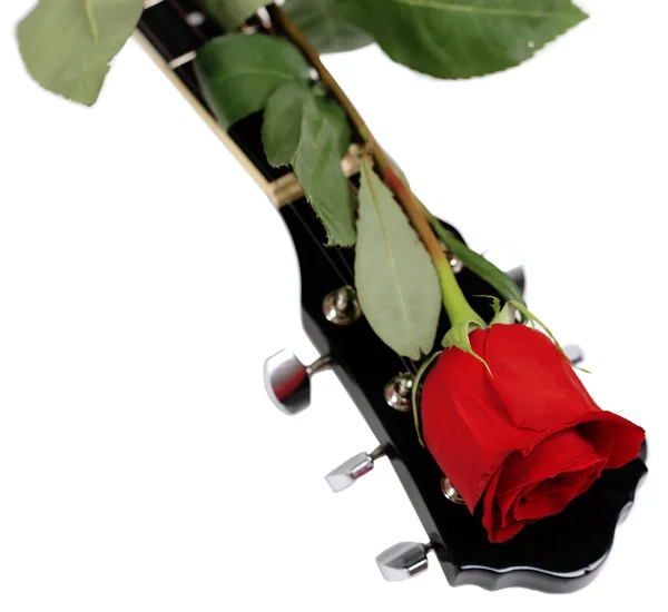 Guitarra acústica y flor de rosa roja, aisladas en blanco —  Fotos de Stock